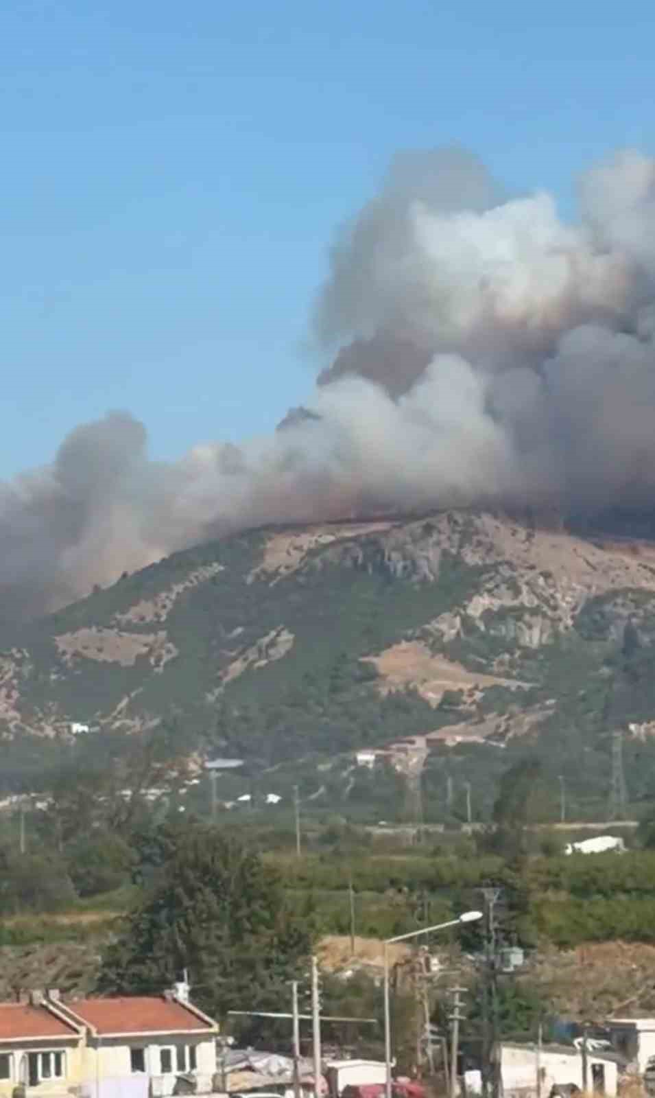 Çanakkale’de orman yangını