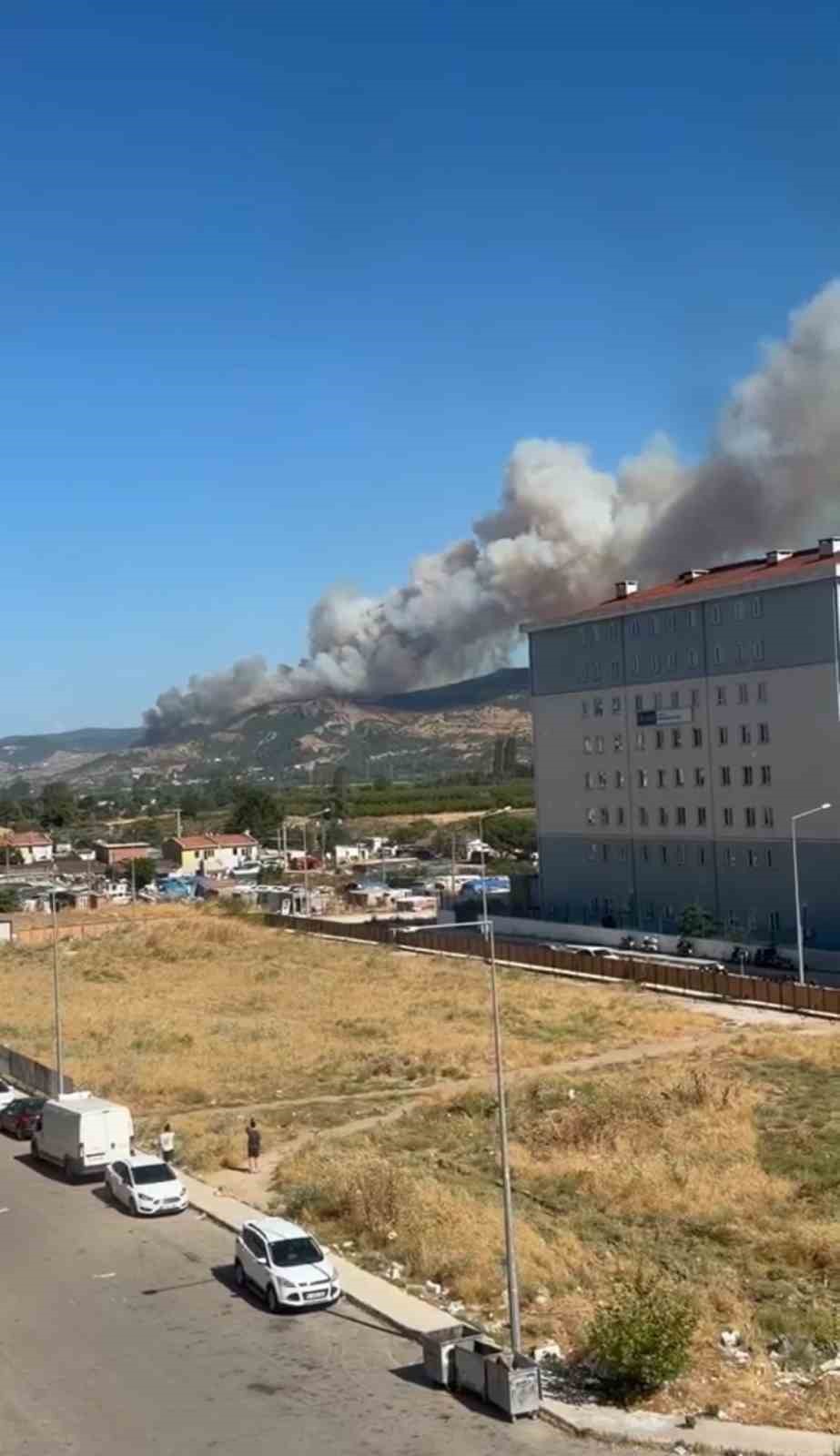 Çanakkale’de orman yangını