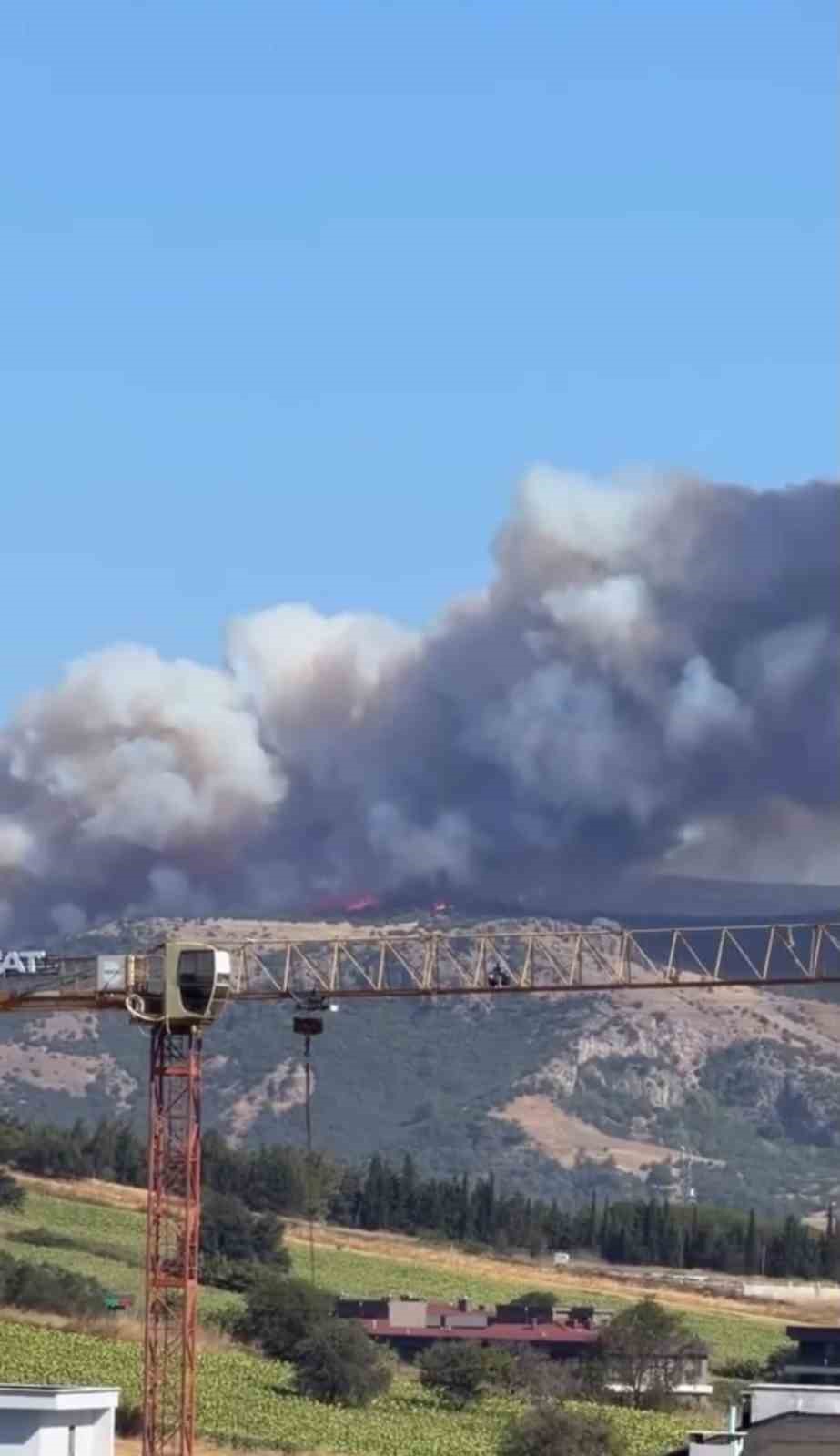 Çanakkale’de orman yangını