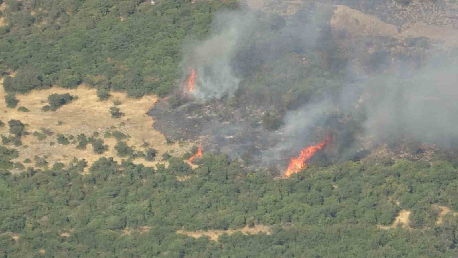 Çanakkale’deki orman yangınına müdahale sürüyor