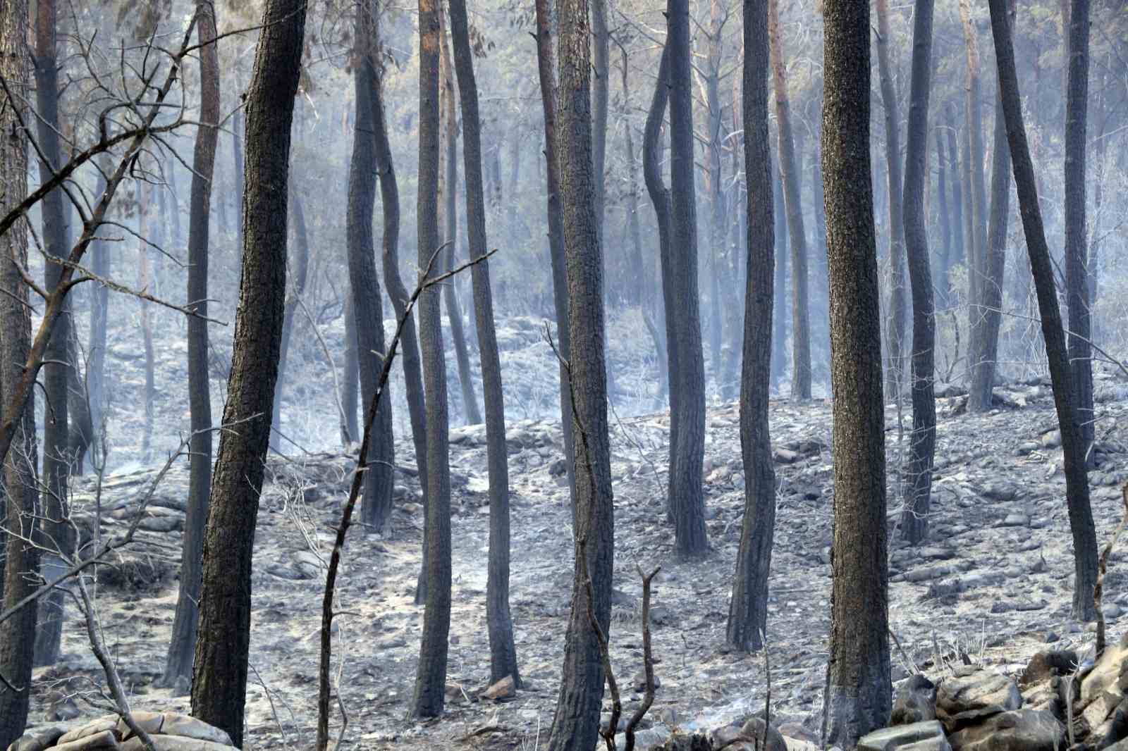 Kumluca’daki orman yangınında 10 ev kullanılamaz hale geldi: Yangına evinde yakalananlar o anları anlattı