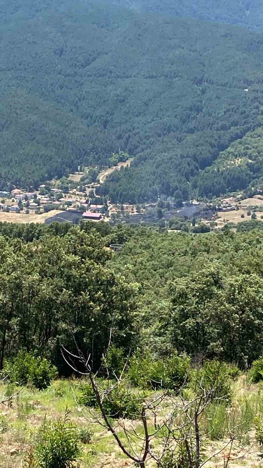 Kuyucak’ta ziraat alanındaki yangın ormana ulaşmadan söndürüldü