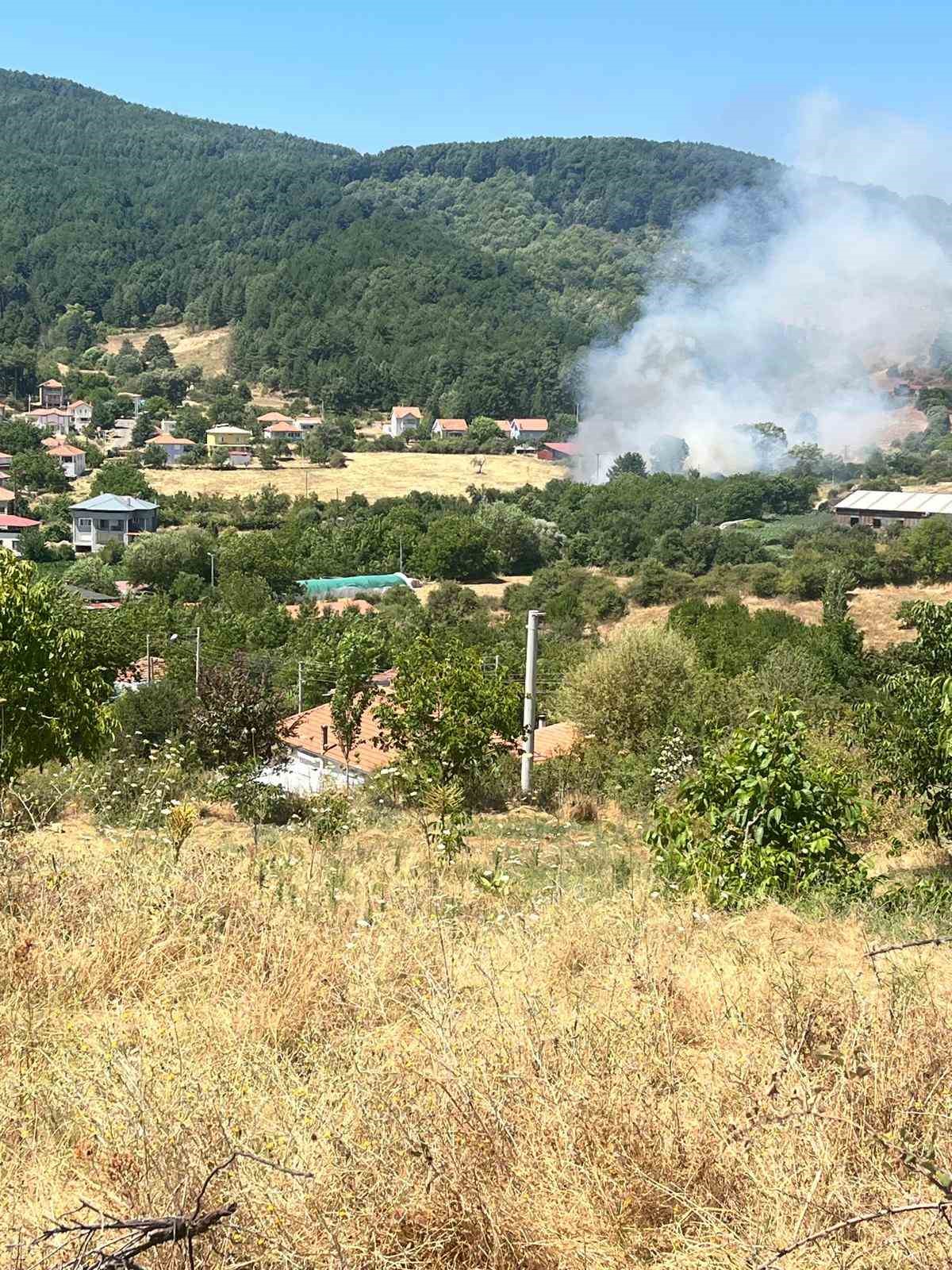 Kuyucak’ta ziraat alanındaki yangın ormana ulaşmadan söndürüldü