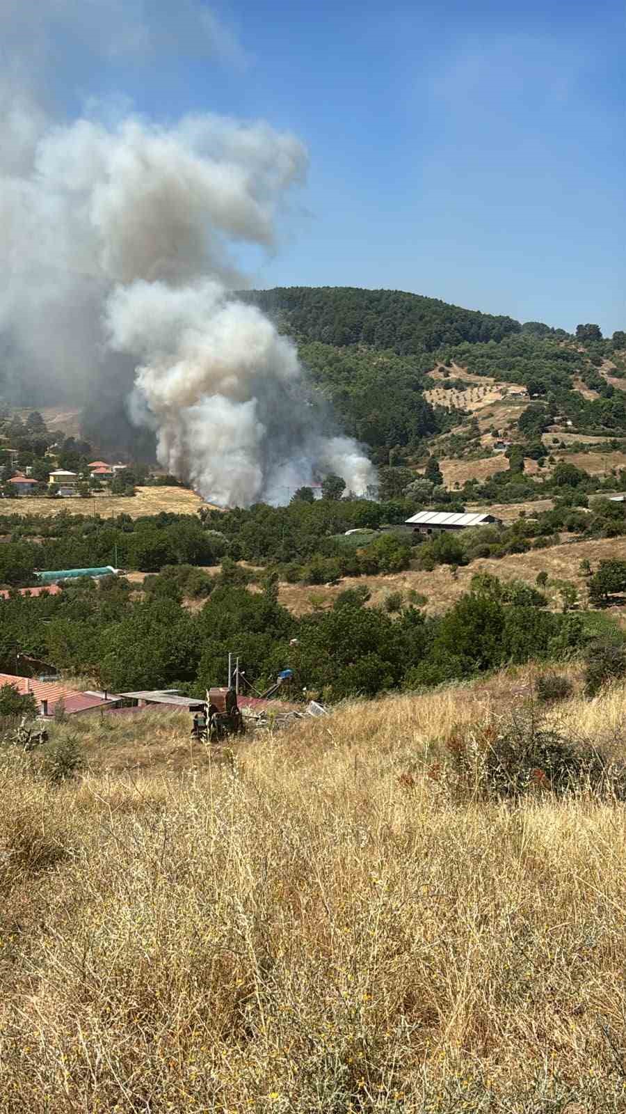 Kuyucak’ta ziraat alanındaki yangın ormana ulaşmadan söndürüldü