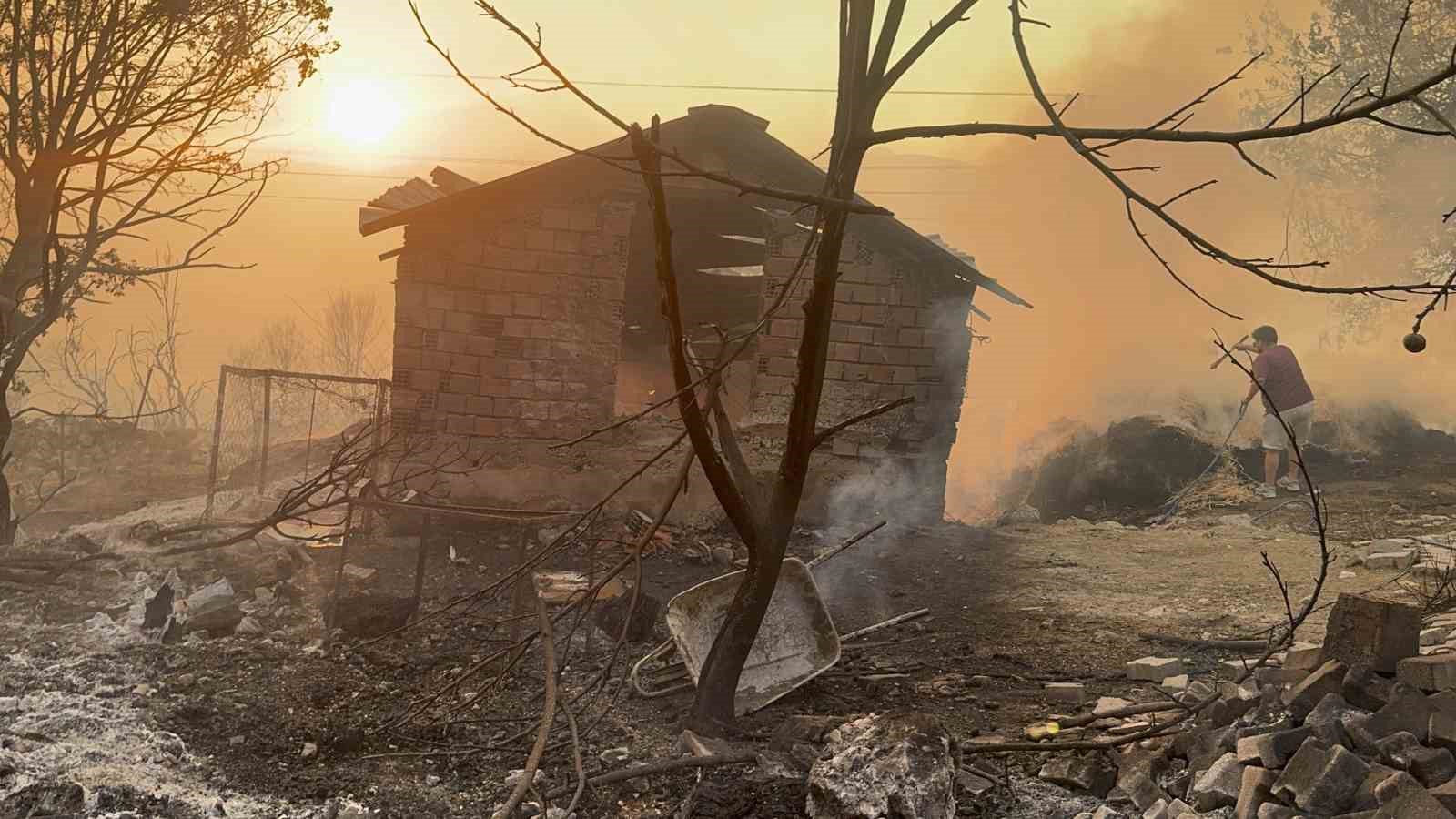 Yangın bölgesindeki hayvanlar güvenli alanlara tahliye edildi