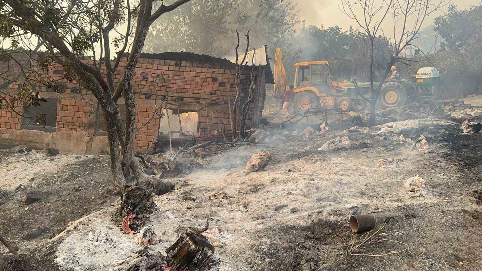 Yangın bölgesindeki hayvanlar güvenli alanlara tahliye edildi