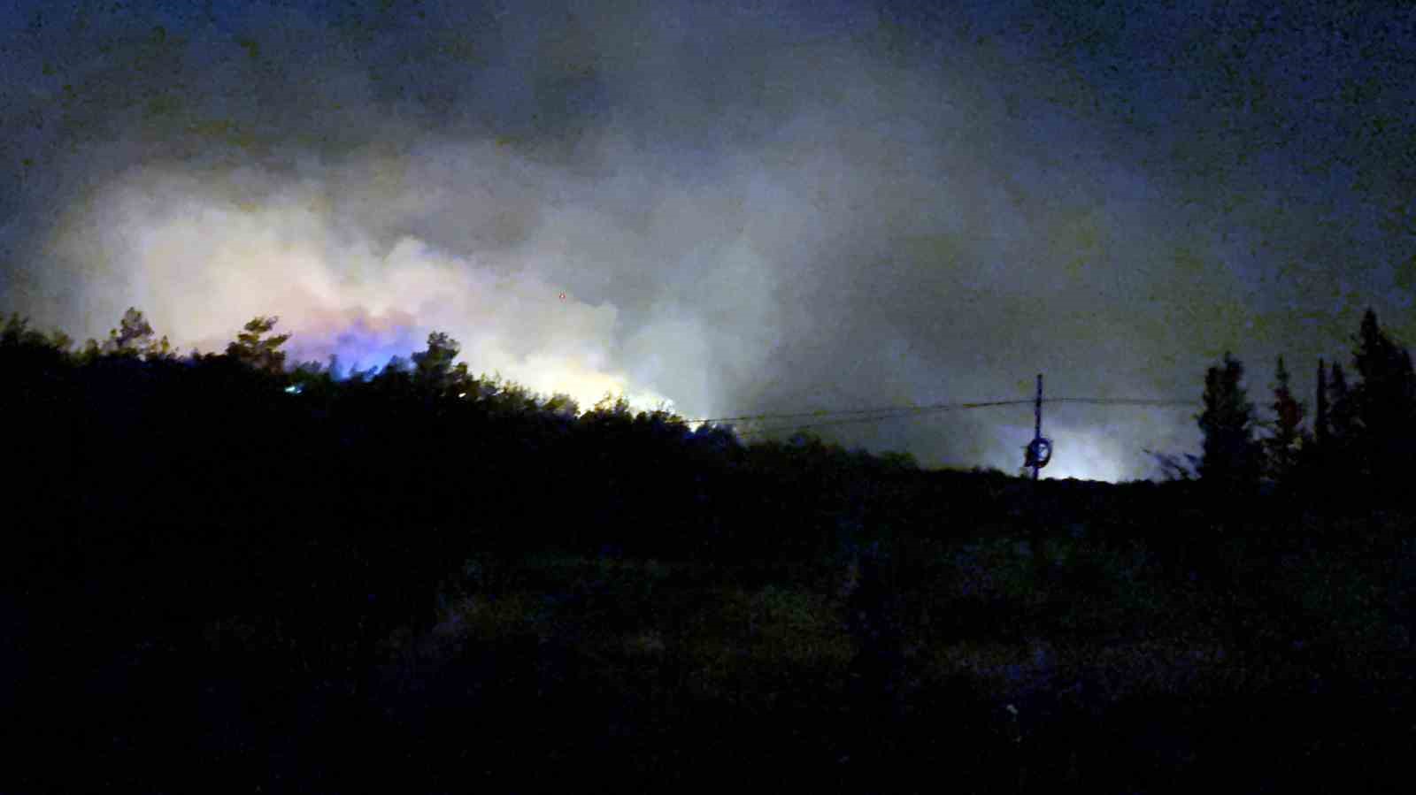 Fethiye’de Yeşilüzümlü Mahallesinde orman yangını başladı