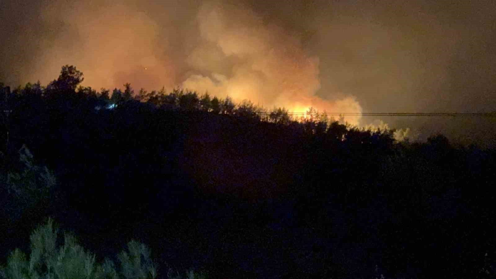 Fethiye’de Yeşilüzümlü Mahallesinde orman yangını başladı