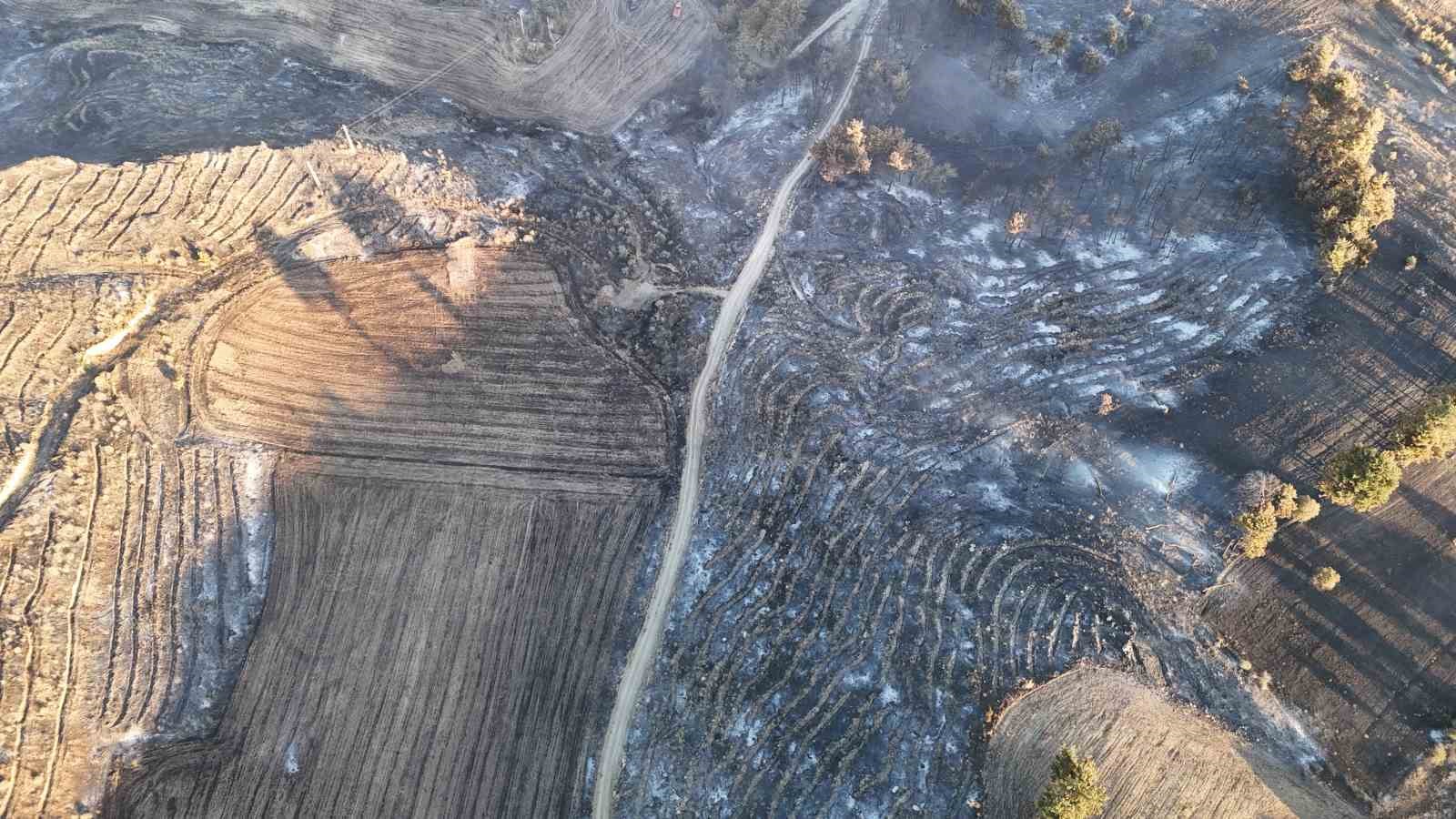 Çanakkale’deki yangında yanan alanlar dron ile görüntülendi