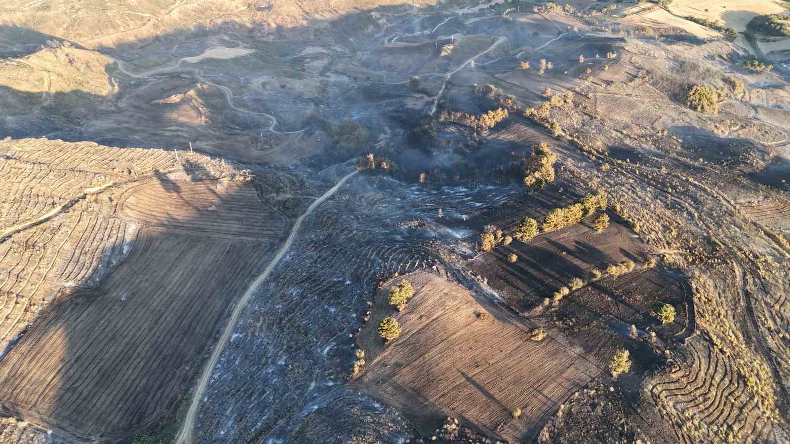 Çanakkale’deki yangında yanan alanlar dron ile görüntülendi