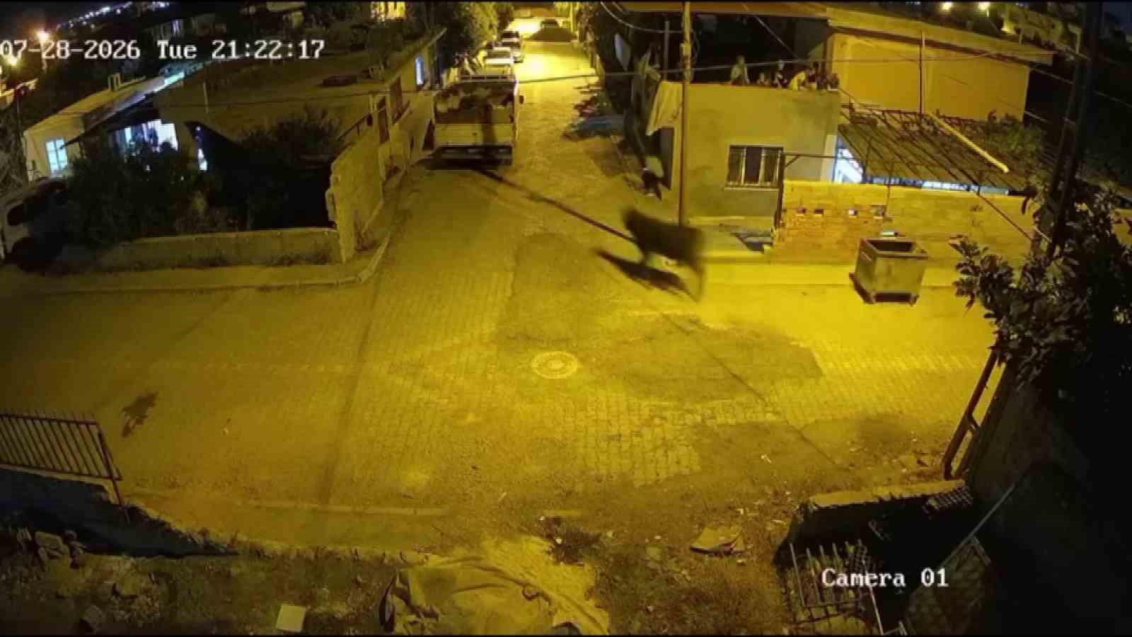 Firari angus mahalleliye korku dolu anlar yaşattı
