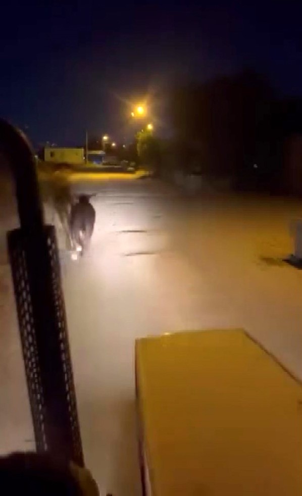 Firari angus mahalleliye korku dolu anlar yaşattı