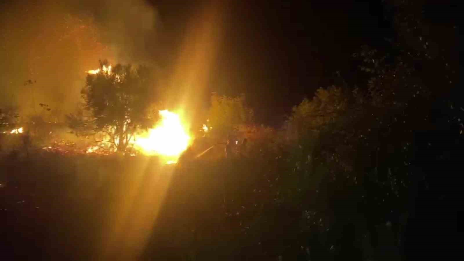 Serik’te çıkan orman yangınına ilk müdahaleyi vatandaşlar yaptı
