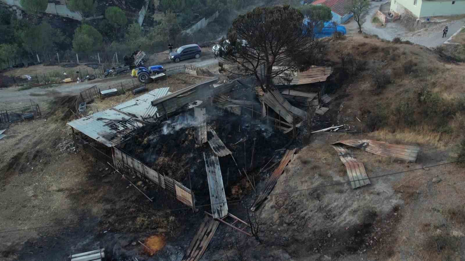 Tıfıllar Köyü’ndeki yangının boyutu gün ağırınca ortaya çıktı