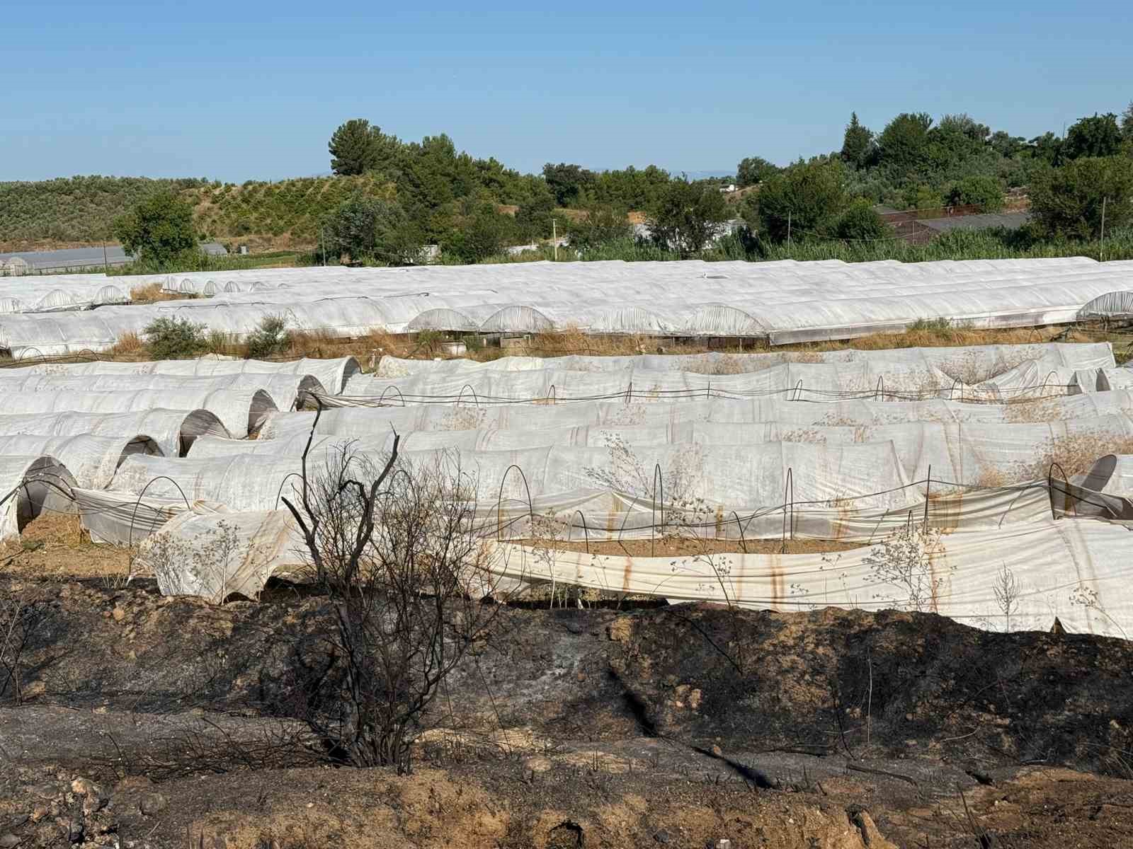 Antalya’daki yangında seralar zarar gördü