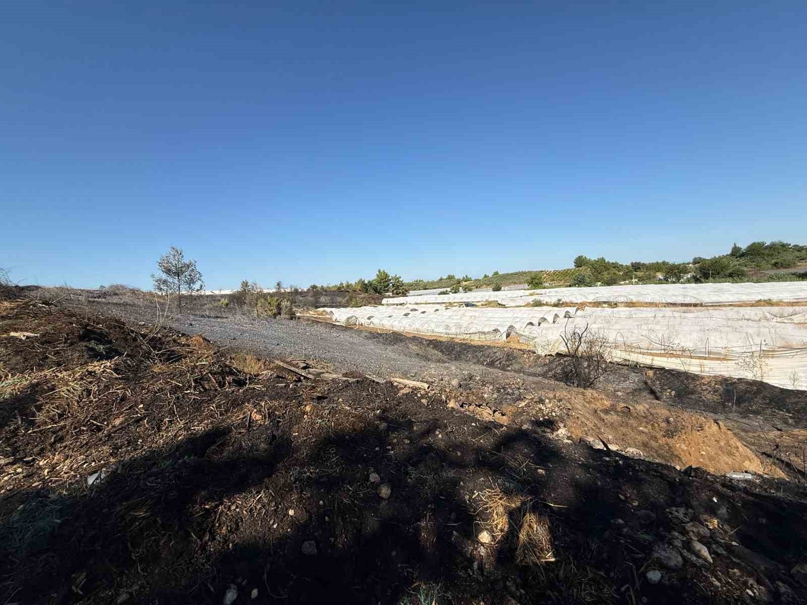 Antalya’daki yangında seralar zarar gördü