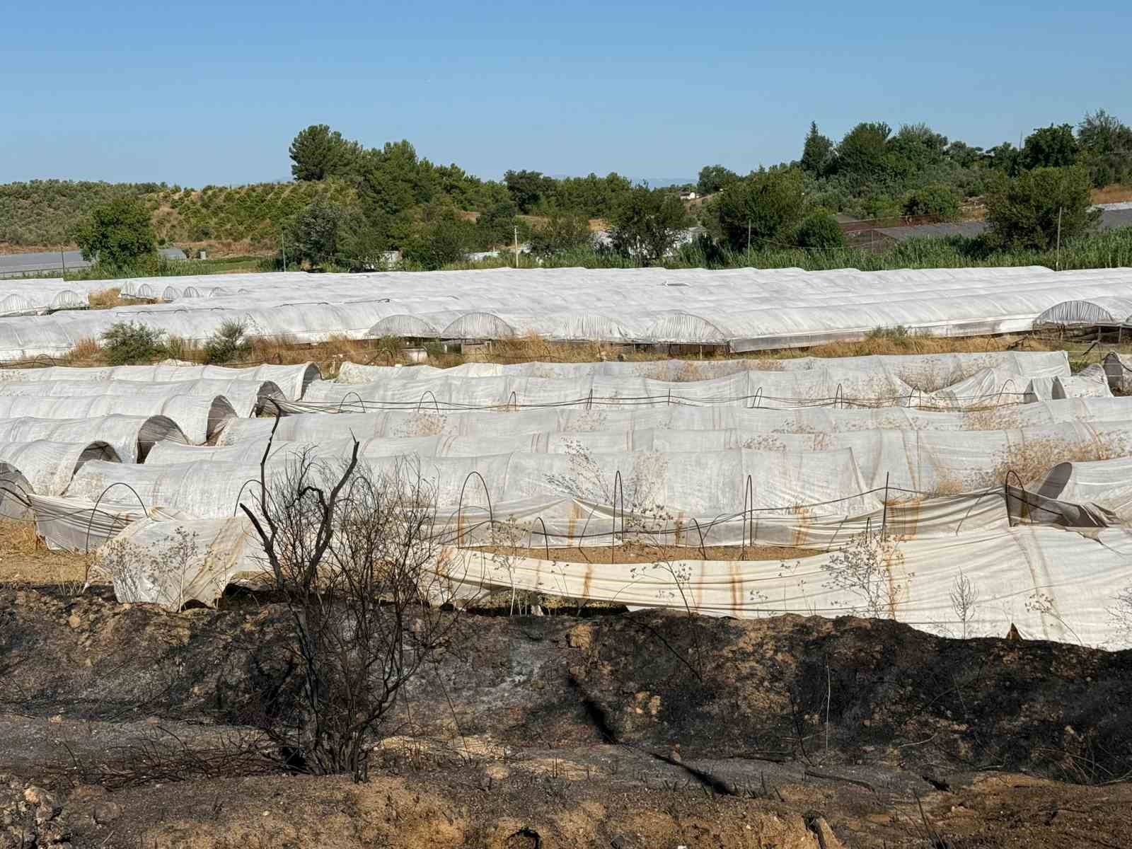 Antalya’daki yangında seralar zarar gördü