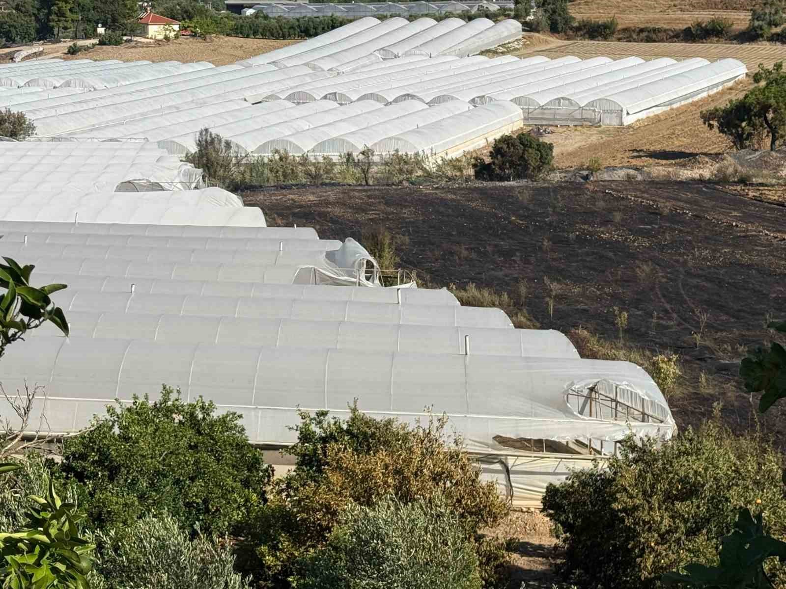 Antalya’daki yangında seralar zarar gördü