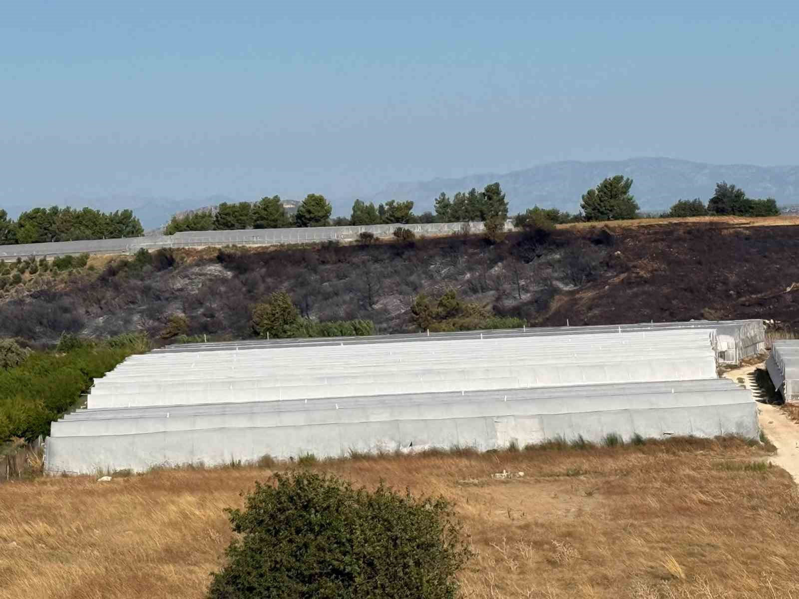 Antalya’daki yangında seralar zarar gördü