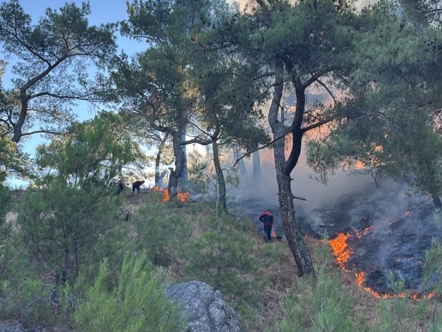 Pendik Belediyesi ekipleri Balıkesir’deki orman yangınına müdahale ediyor