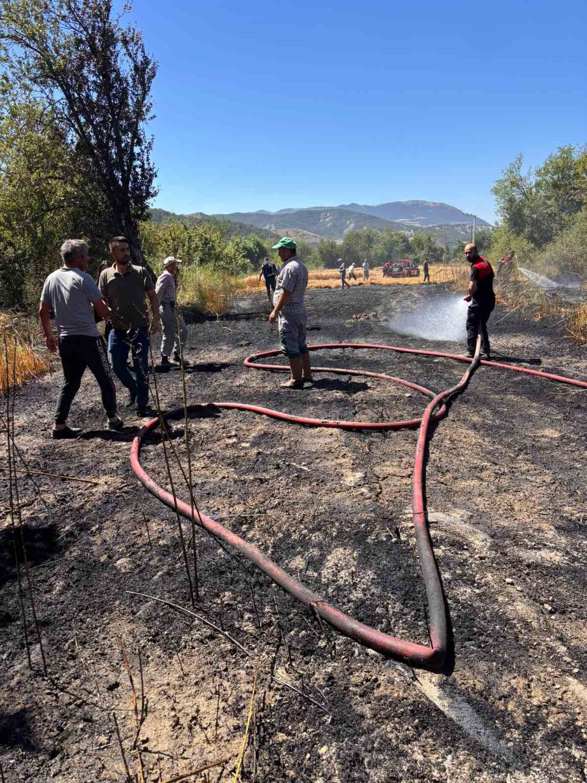 Bolu’da otluk alanda çıkan yangın buğday tarlasına sıçradı