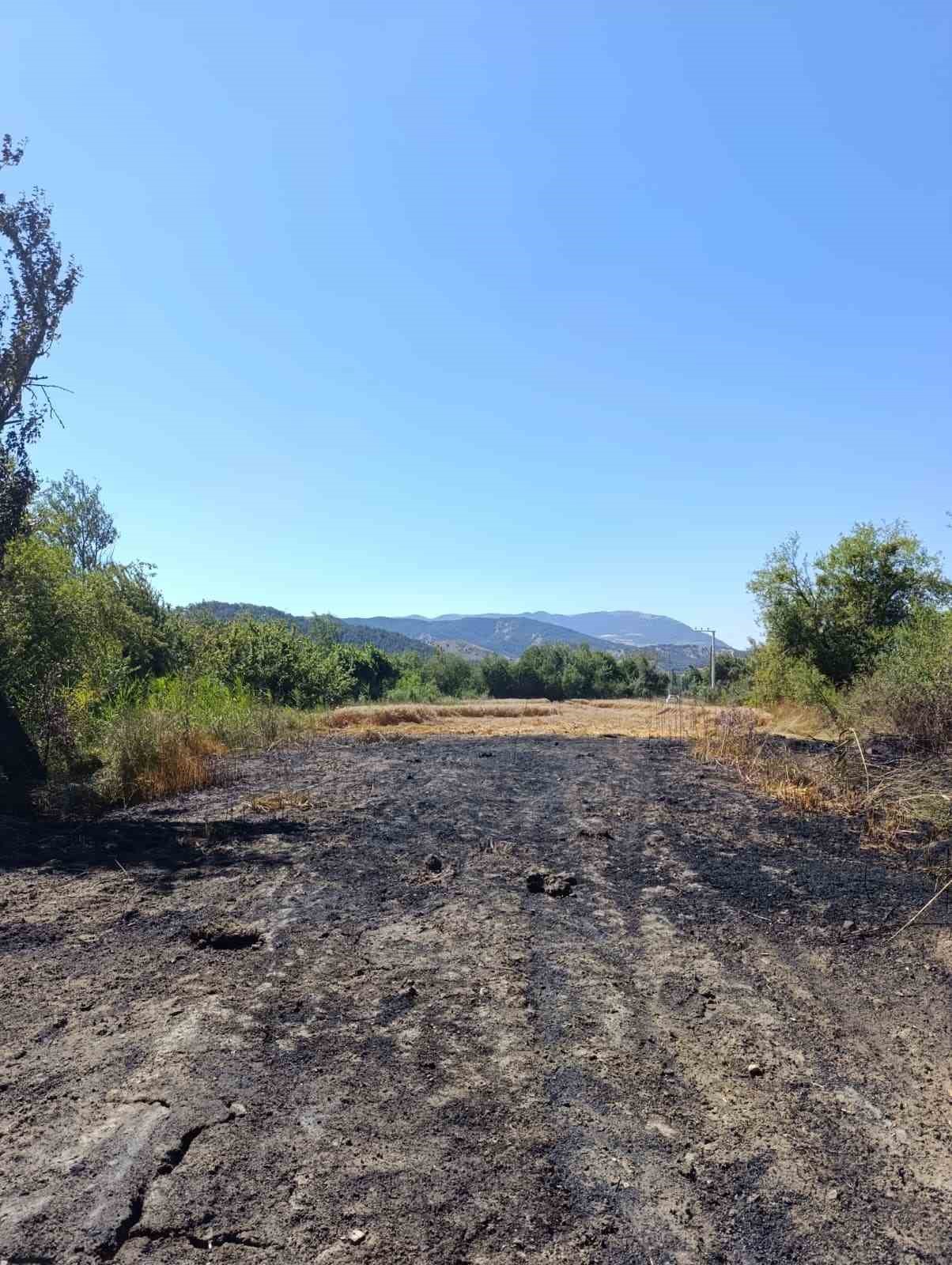 Bolu’da otluk alanda çıkan yangın buğday tarlasına sıçradı