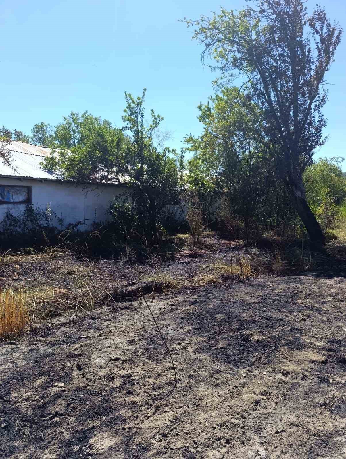 Bolu’da otluk alanda çıkan yangın buğday tarlasına sıçradı