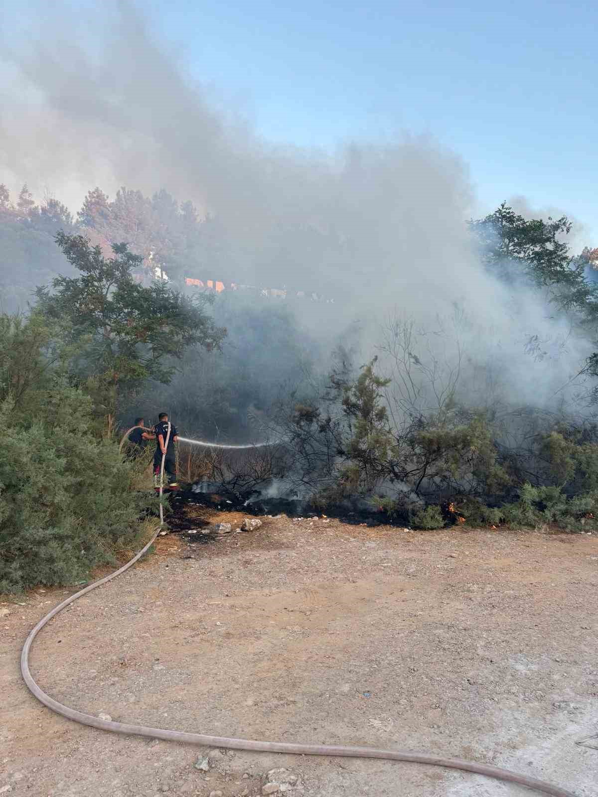 Kuşadası’nda ağaçlık alanda çıkan yangın büyümeden söndürüldü