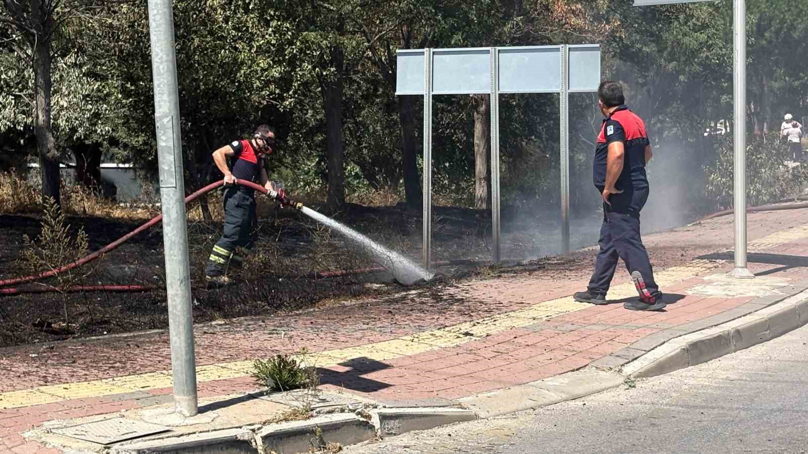 Çanakkale’de yol kenarında çıkan yangında köpek mahsur kaldı