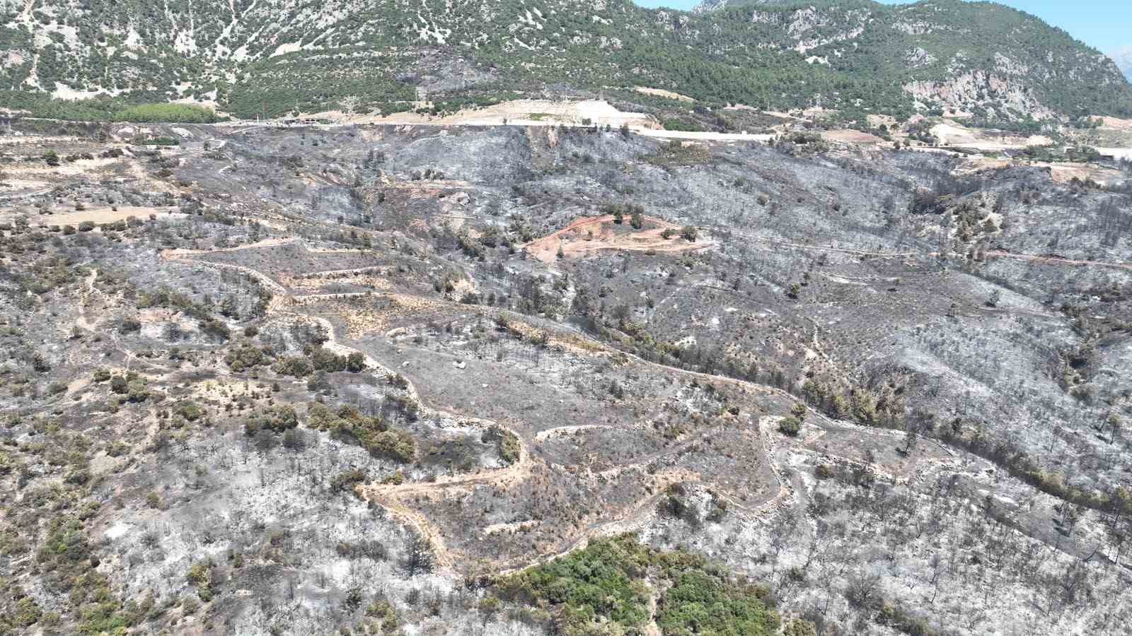 Kumluca’da yangından etkilenen hayvanlara yerinde müdahale