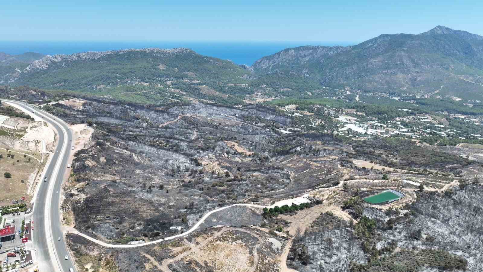 Kumluca’da yangından etkilenen hayvanlara yerinde müdahale