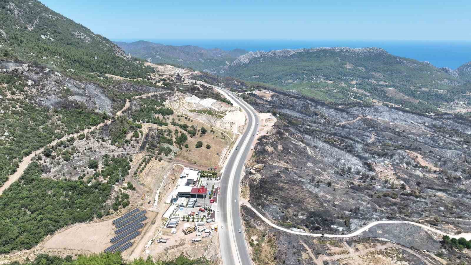 Kumluca’da yangından etkilenen hayvanlara yerinde müdahale