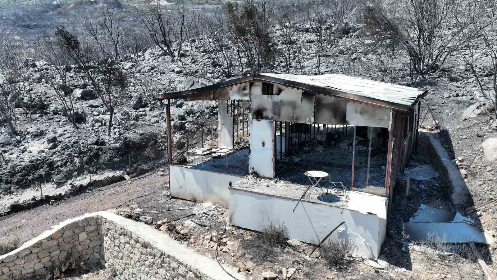 Kumluca’da yangından etkilenen hayvanlara yerinde müdahale