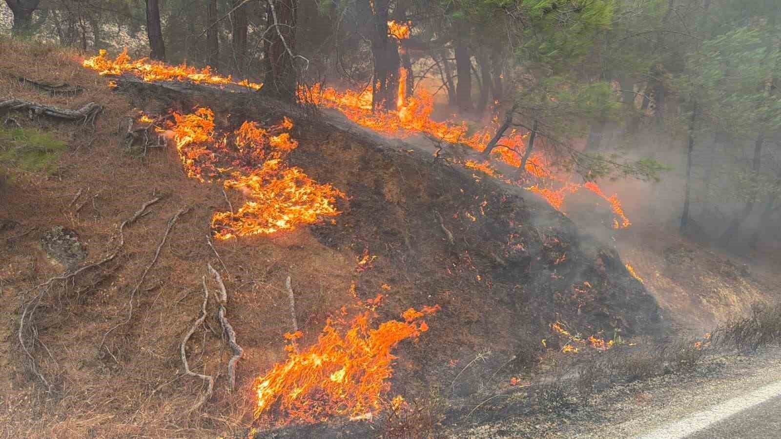 Balıkesir’deki yangın Bergama sınırına ulaştı, gazeteciler alevler arasından zor kurtuldu