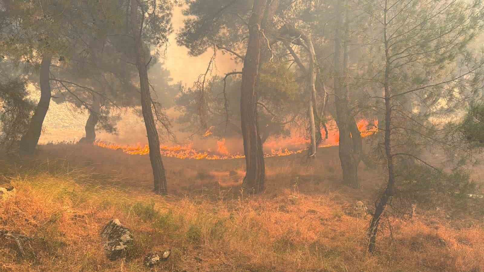 Balıkesir’deki yangın Bergama sınırına ulaştı, gazeteciler alevler arasından zor kurtuldu