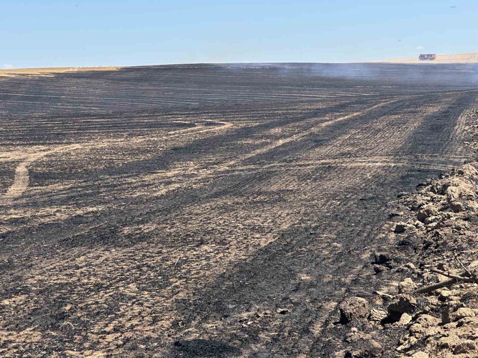 Tekirdağ’da anız yangını