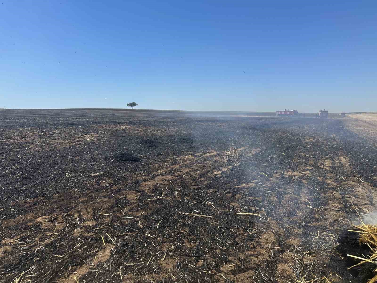 Tekirdağ’da anız yangını