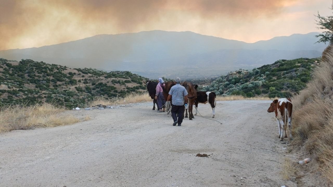 Alevlerden kaçtılar, hayvanlarını ve kendi canlarını zor kurtardılar