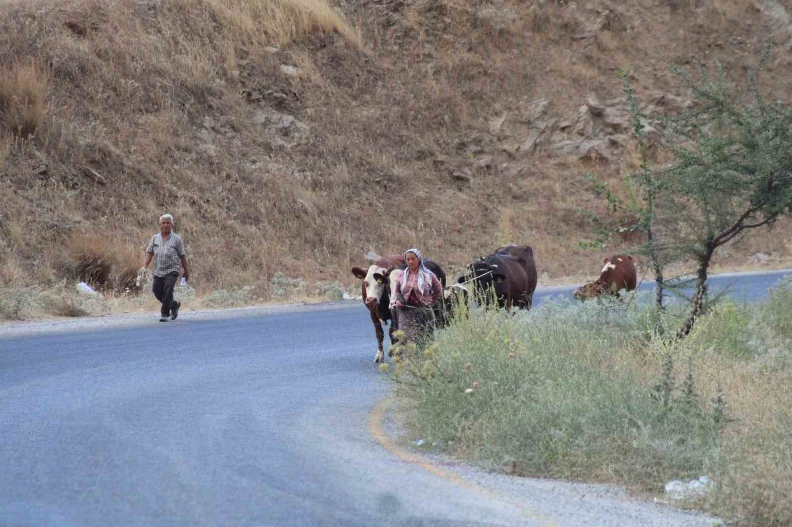 Alevlerden kaçtılar, hayvanlarını ve kendi canlarını zor kurtardılar