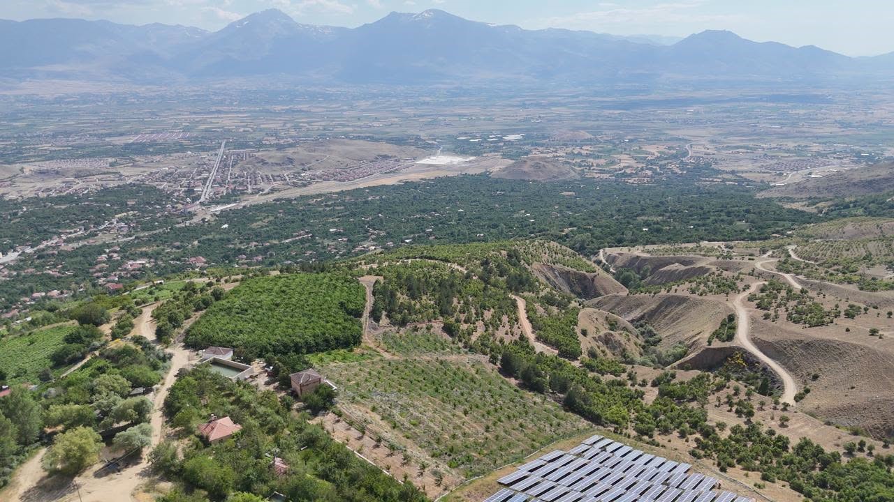 Erzincan’ın yüksek rakımlı kiraz bahçesinde hasat mesaisi