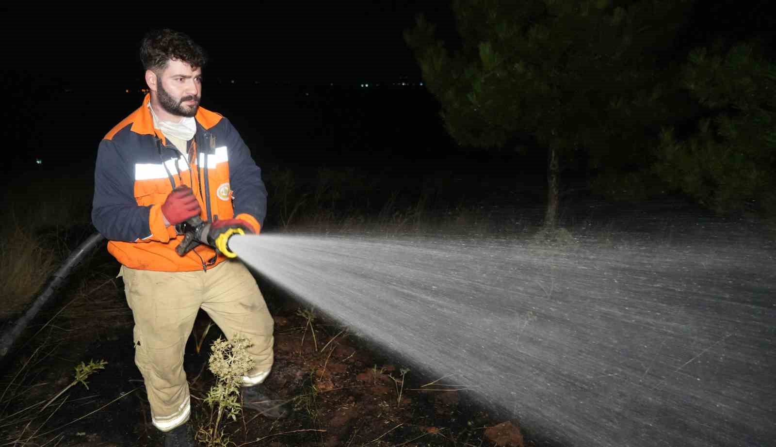 Bir kuş çam ormanlarını alevlerin eşiğine getirdi: Yangın büyümeden söndürüldü