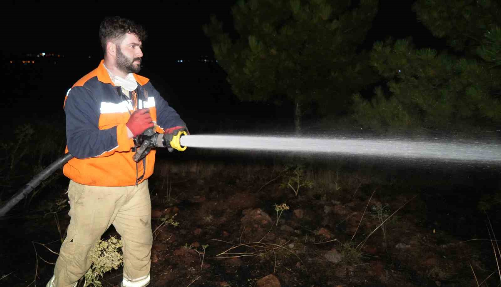Bir kuş çam ormanlarını alevlerin eşiğine getirdi: Yangın büyümeden söndürüldü