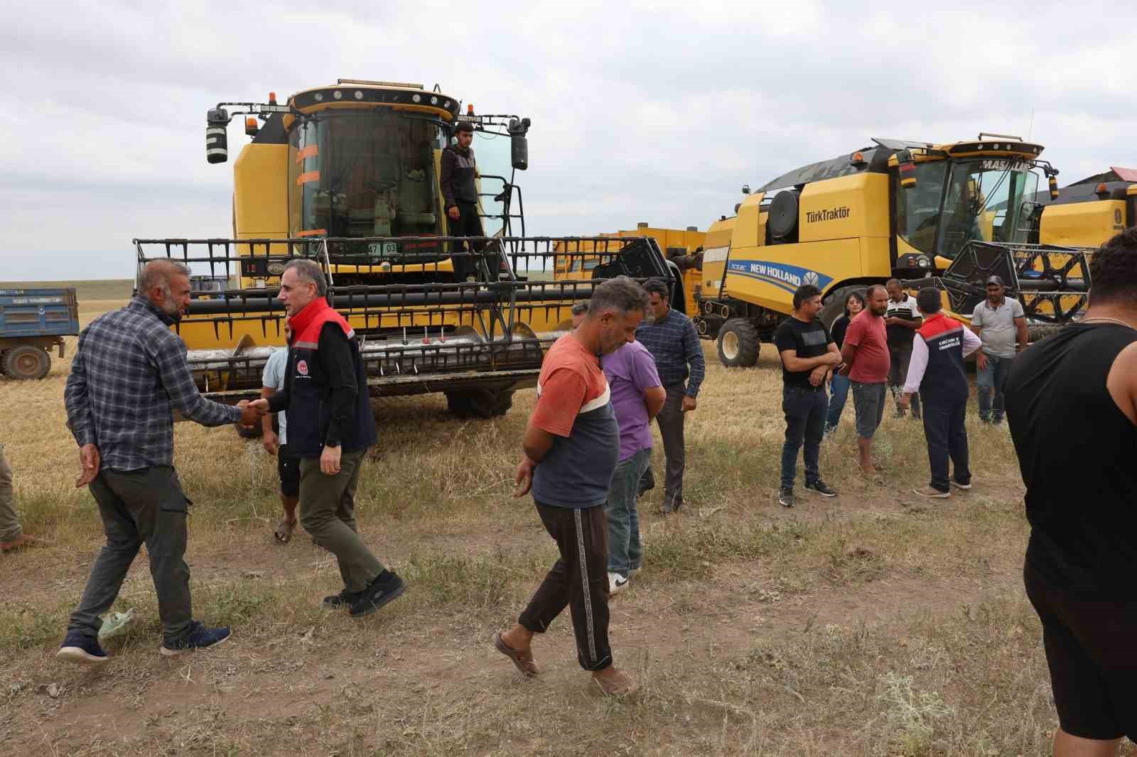 Kars’ta 2026 hububat hasadı başladı: İlk biçim tarlada yapıldı