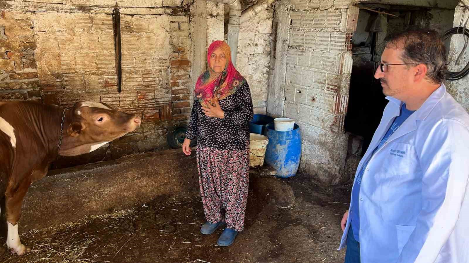 Süt kalitesi ve hayvan sağlığı güvence altında