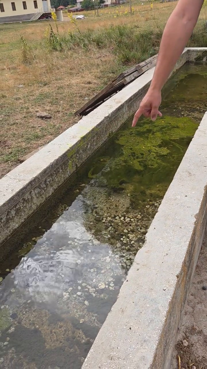 Bolu’da duyarlı vatandaş, hayvanların su içtiği yosunlu çeşmeyi temizledi