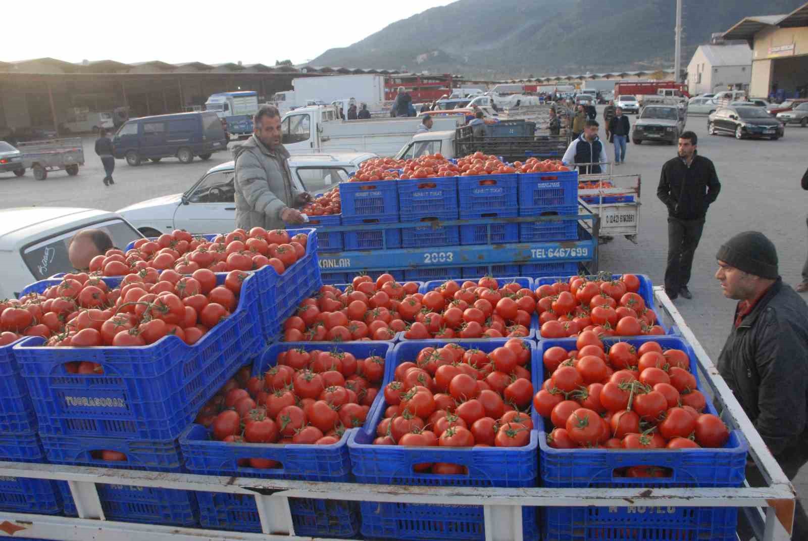 Muğla’nın Haziran ayı ihracatı 125,9 milyon dolar