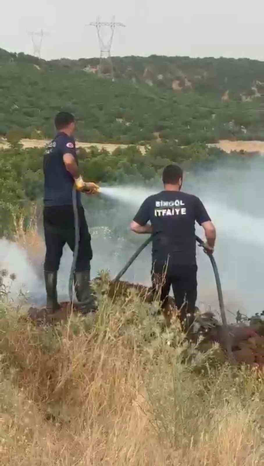 Bingöl’de orman yangını