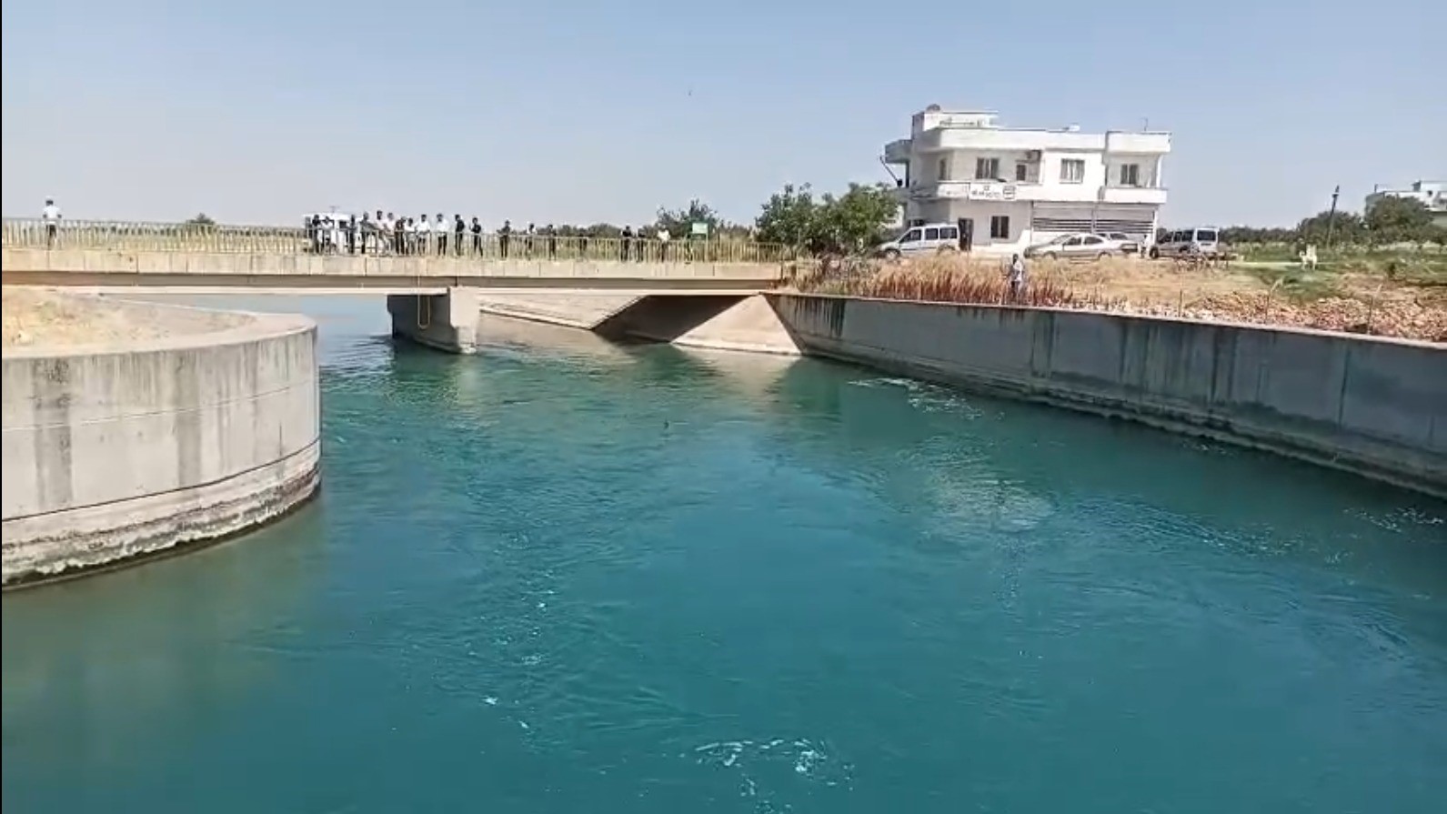 Şanlıurfa’da sulama kanalında mahsur kalan yaban domuzu kurtarıldı