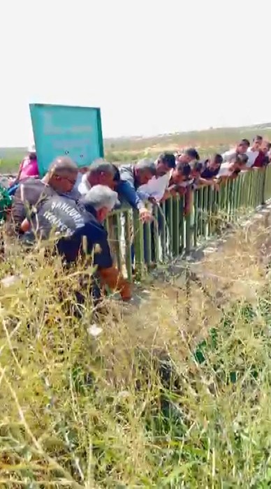 Şanlıurfa’da sulama kanalında mahsur kalan yaban domuzu kurtarıldı