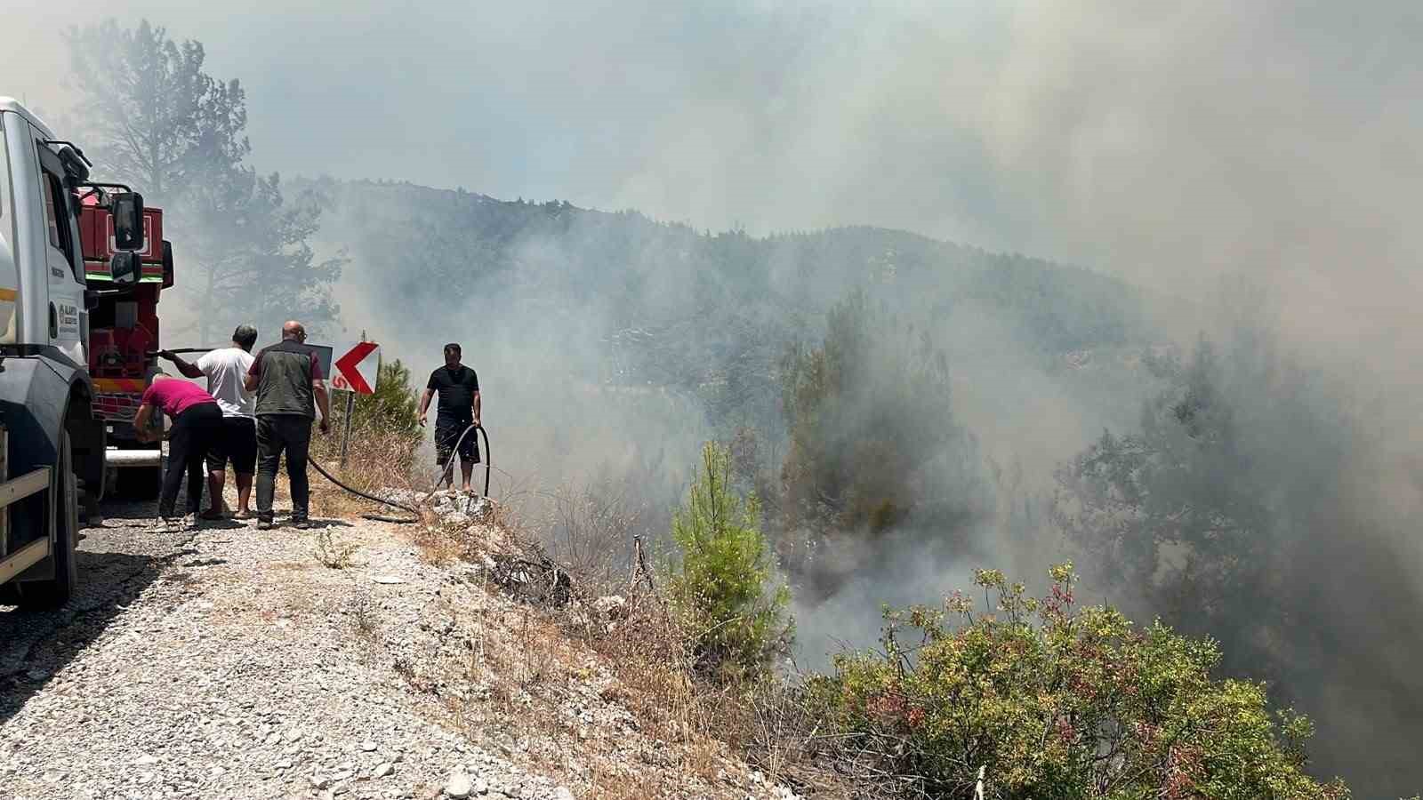 Alanya’da orman yangını